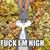 Jesse Smith's profile image