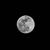 Diane Vandiver Lindsey's profile image