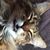 Tamara Farber Lee's profile image