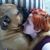 Sydney Shaffer's profile image