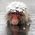 Kevin Kearney's profile image