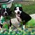 Erika Bain's profile image