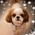 Dave Albert's profile image