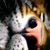 Stephanie Flanagan's profile image