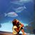 Bob Fitzgerald's profile image