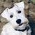 Linda Minyard's profile image