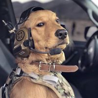 Sebastian Becker's profile image