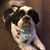 Nancy Cetnar-Mora's profile image