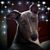 Jacqueline Koski's profile image