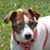 Patricia Reeder's profile image