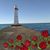 Angela Roberts's profile image