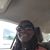 Dominica Lofton's profile image