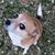 Melissa Kimball's profile image