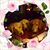 Lauralee Beck's profile image