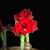 Patti Wasserburger Nisenholz's profile image