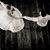 Suzanne Fitzsimmons's profile image