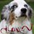 Susan Logan's profile image