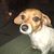 Jamie Oyler's profile image