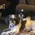 Jacinta Ramos's profile image