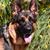 Katherine Buchholz's profile image