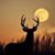 Dena Calkins's profile image