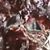 Mehar Rehan's profile image