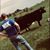 Jack Henry Cecil Hagan's profile image