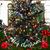 Tracey Peltier's profile image