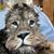 Connie Vail's profile image