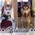 Charry Birguelles's profile image