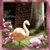 Rhonda Baker Cohen's profile image