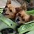 Cheryl Lynne Hunt's profile image