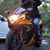 Youssef Khater's profile image