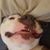 Richie Slusser's profile image