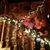 Judy Wolverton Palmer's profile image