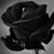 Sherry Mason's profile image