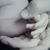 Mary Deluca's profile image