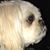 Donna Cushey's profile image