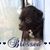 Roxanne Nevitt England's profile image