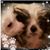 Cami Marks's profile image