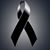 Eliana Francisco's profile image