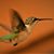 Brian Gale's profile image