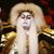 Dennis Degroot's profile image