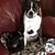 Paulette R Hasty's profile image
