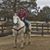 Virginia Curtis-Threadgill's profile image