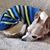 Patricia Solomon's profile image