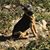 Catherine Taylor Neff's profile image