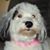 Betty Adair Mitchell's profile image
