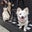 Ashley Yue's profile image