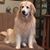 Stuart Malter's profile image